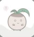 椰子便签正版v1.0.5