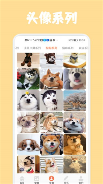 预览图1
