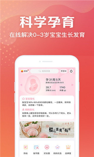 预览图3