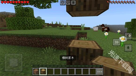 Minecraft国际版