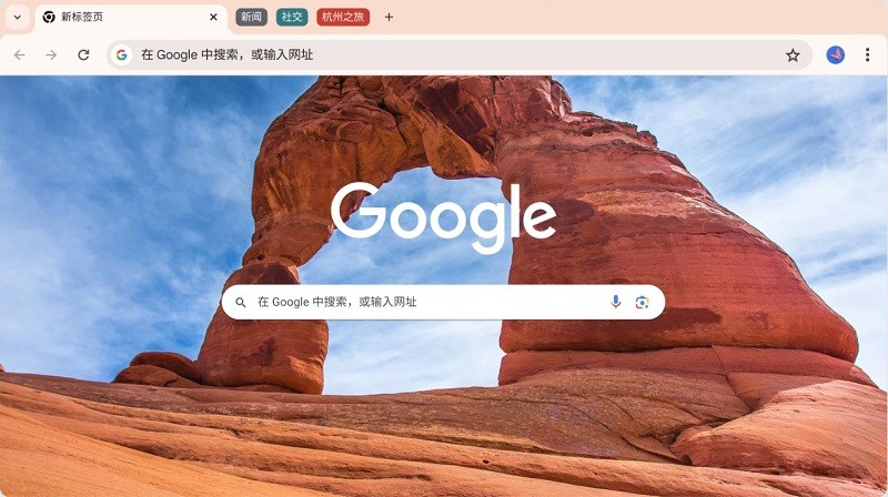 Google Chrome截图1