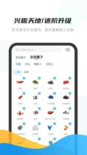 龙巅app安卓版截图1