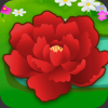 锦上添花游戏