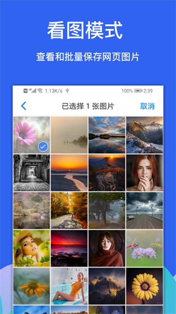 Alook浏览器app截图2