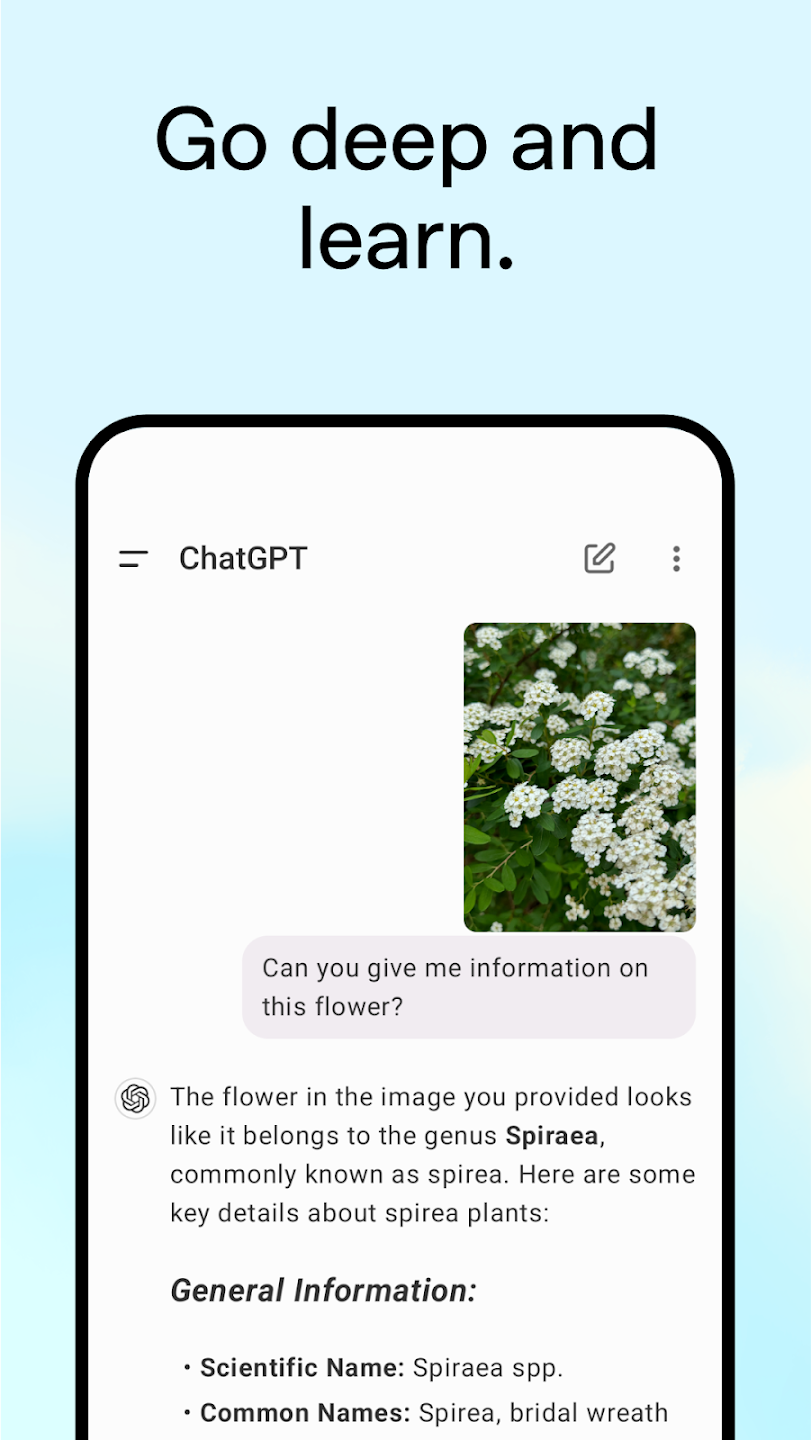 chatgpt app