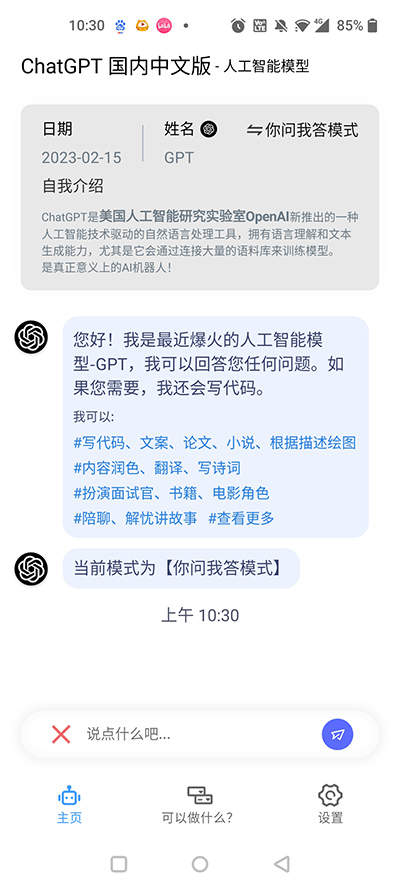 chat网页版