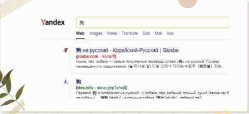 俄罗斯引擎浏览器Yandex