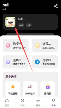 懒洋羊软件库