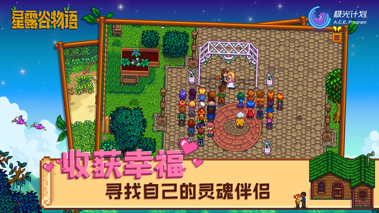 星露谷物语汉化版截图3