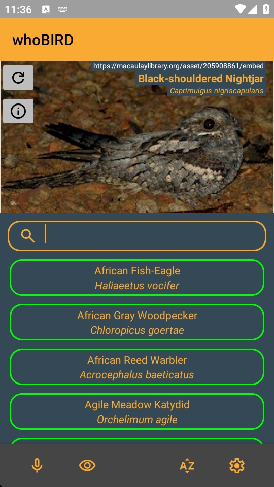 whoBIRD截图1