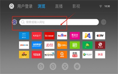白夜浏览器电视版