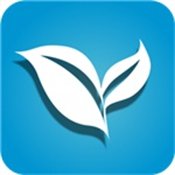 叶子TV盒子版