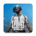 PUPG地铁逃生中文版