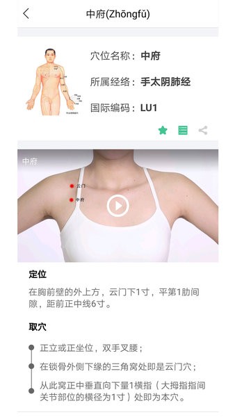 灸大夫截图1