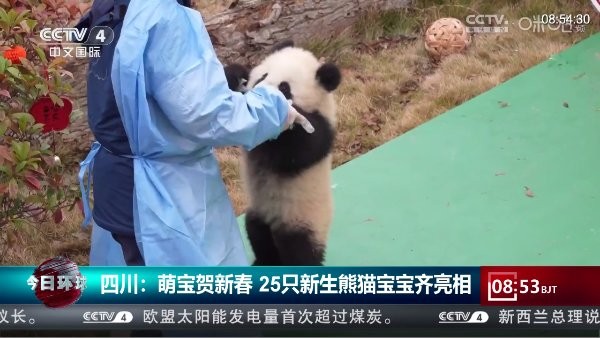 大飞直播截图2