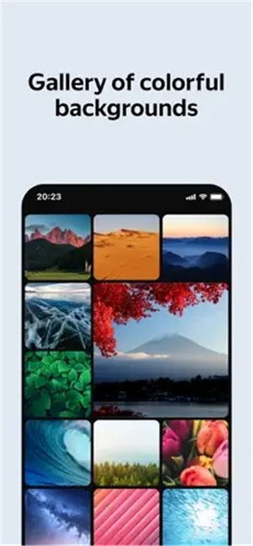 俄罗斯引擎浏览器截图1