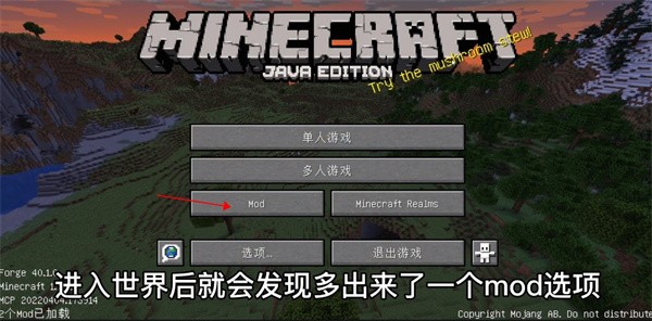 我的世界29