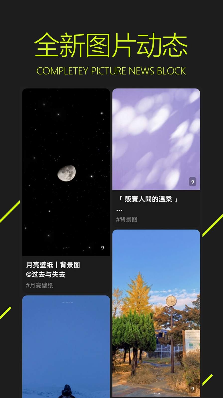 预览图1