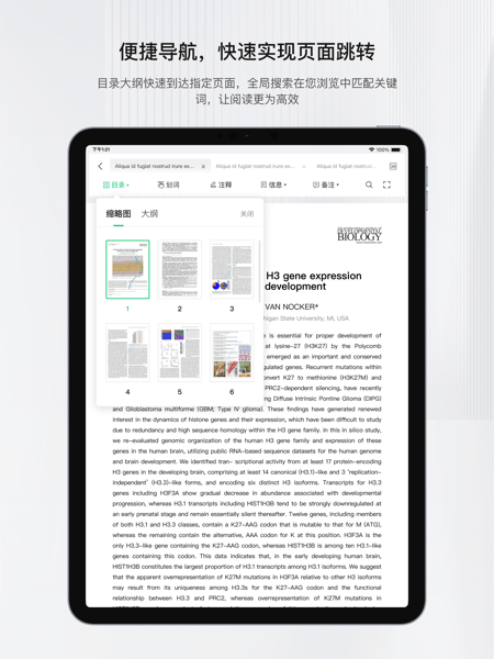 预览图3