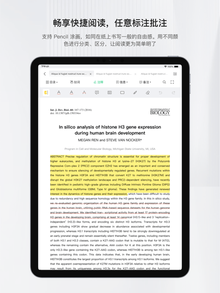 预览图2
