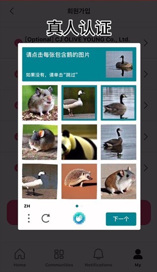 Mnetplus安卓版