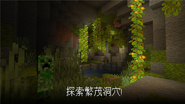 我的世界国际基岩版截图2