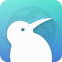 KiwiBrowser浏览器