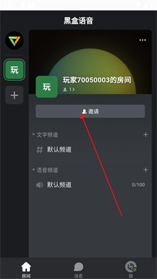 黑盒语音图片5