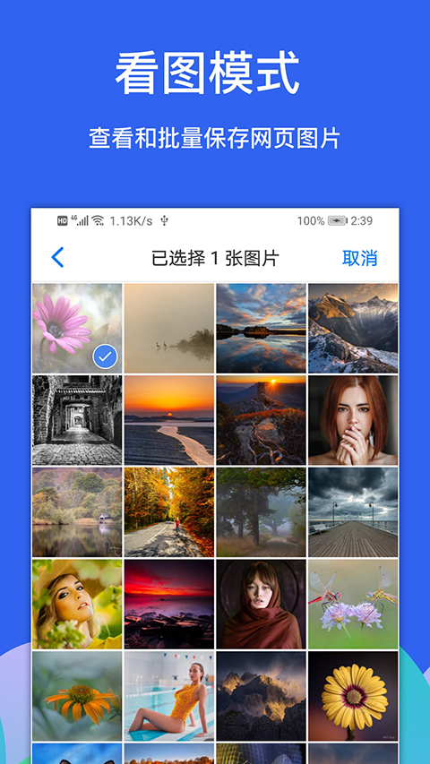 Alook安卓版截图1