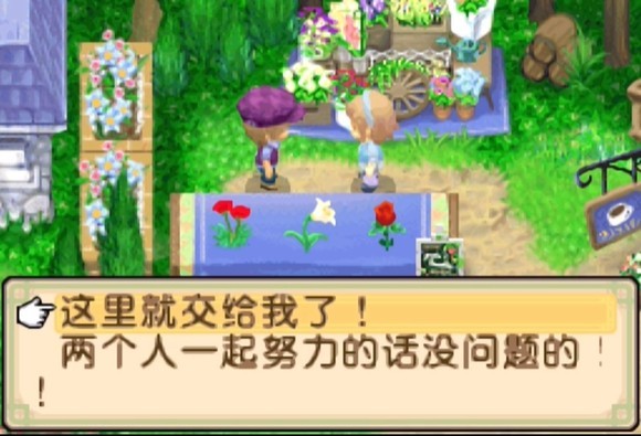牧场物语双子村手机版6