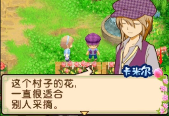 牧场物语双子村手机版4