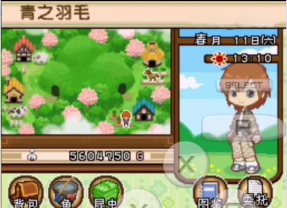 牧场物语双子村手机版9