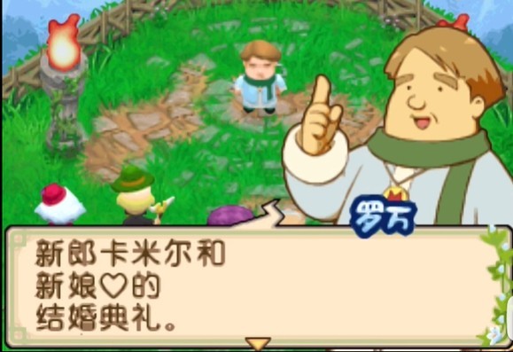 牧场物语双子村手机版12