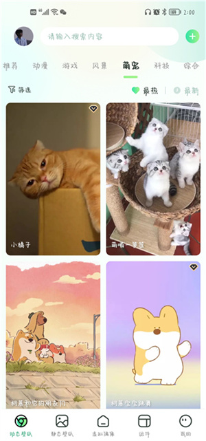 预览图3