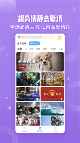 预览图3