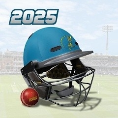 板球队长2025