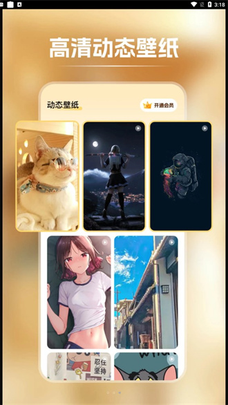 预览图2
