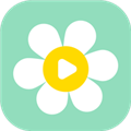 雏菊影视