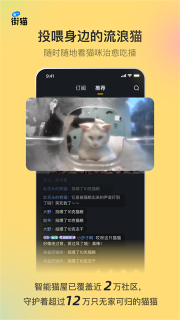 哈啰街猫