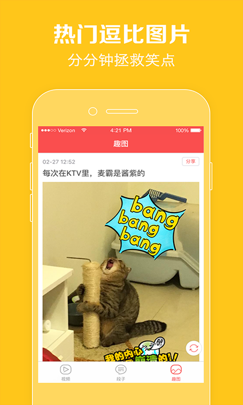 猫咪视频