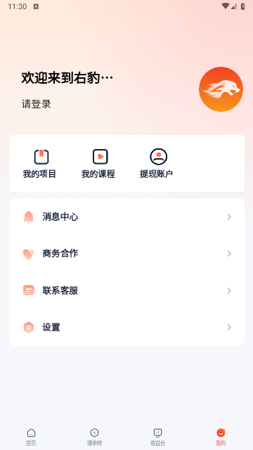 右豹
