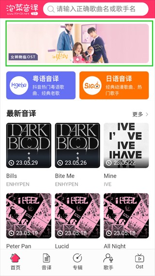 泡菜音译网图片2