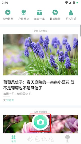 形色