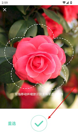 形色