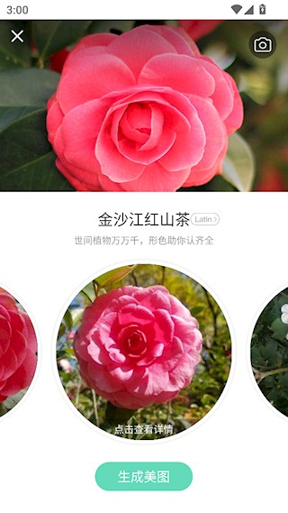 形色