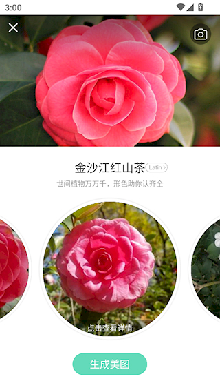 形色
