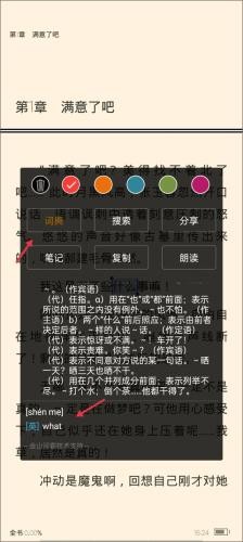 豆丁
