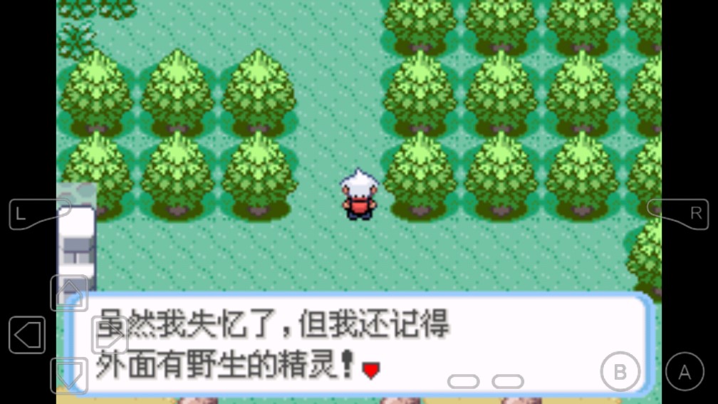 口袋妖怪蛇纹木截图1