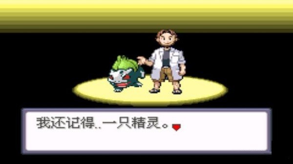 口袋妖怪蛇纹木截图4