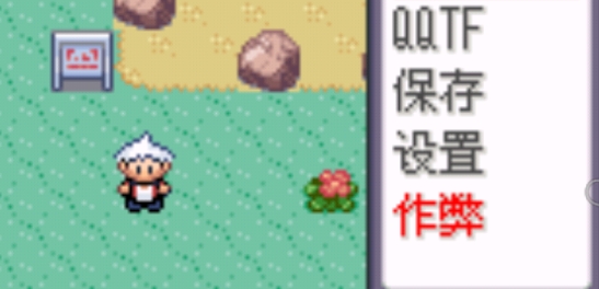 口袋妖怪蛇纹木截图3